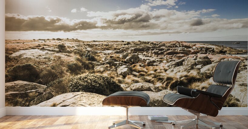 Bay of Fires Tasmania Australia Wall Murals