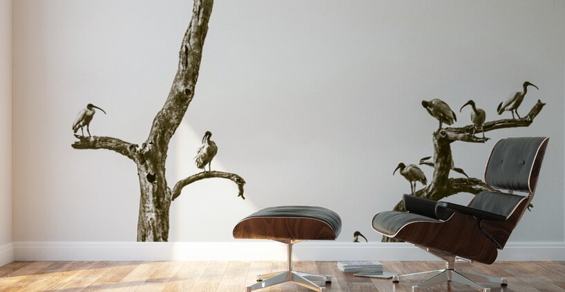 Deadwood Wall Murals