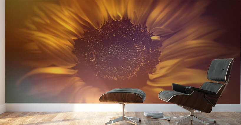Flower flare Wall Murals