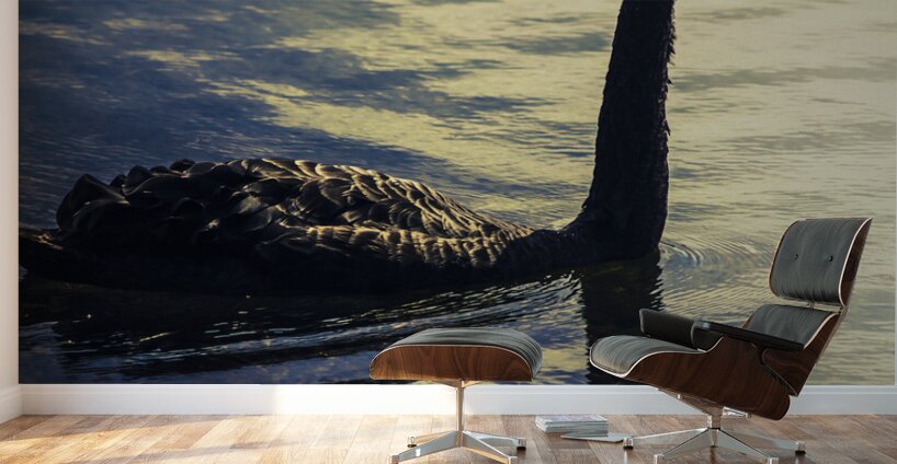 Edge of the wild Wall Murals