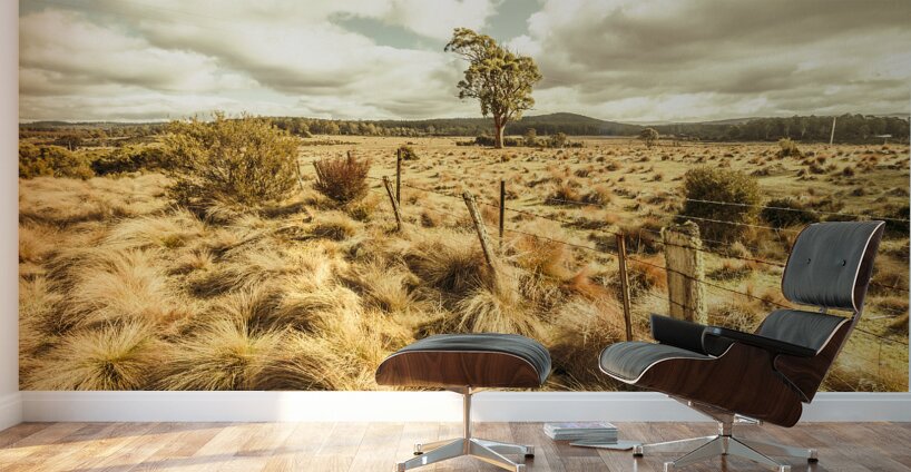Rugged Australian pastures Wall Murals