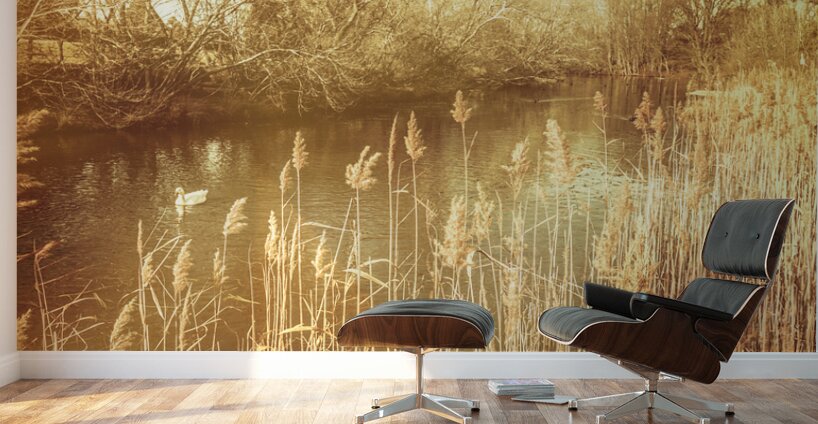 Richmond Tasmania riverscape Wall Murals