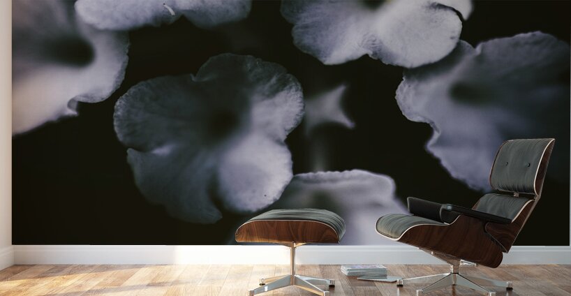 Artistic dark blue flowers in night winter garden Wall Murals