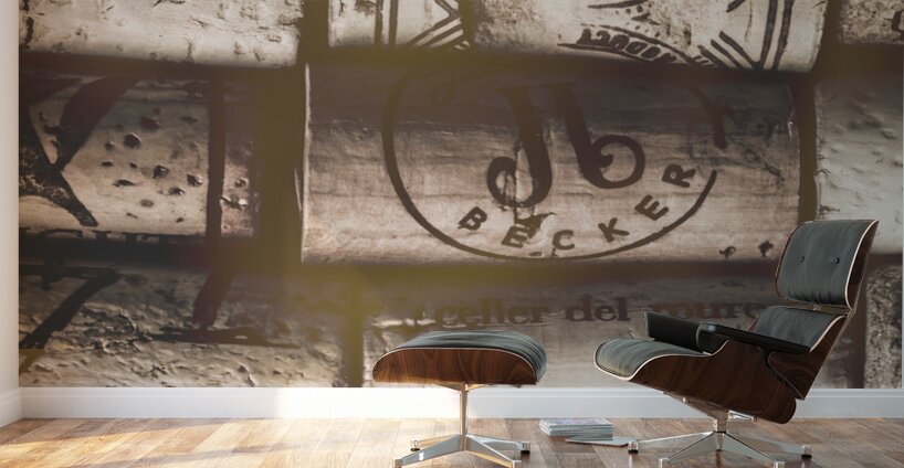 Histories and ages Wall Murals