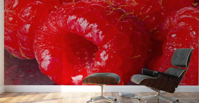 Berry moderns Wall Murals