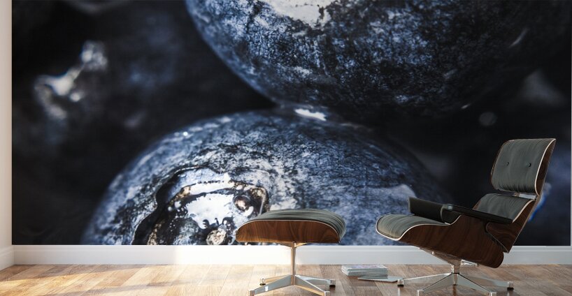 Berry detailed Wall Murals