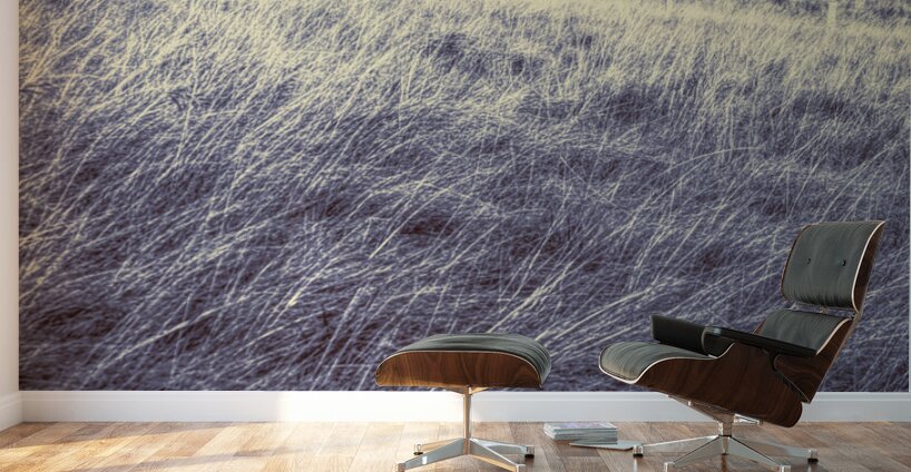 Kingaroy country Wall Murals