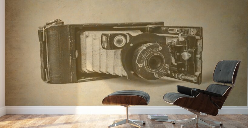 Unfolding history  Wall Murals