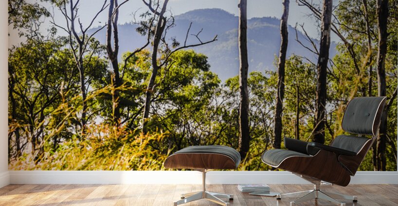 Mount Perry Wall Murals