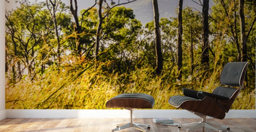 Heartland of Gold Wall Murals