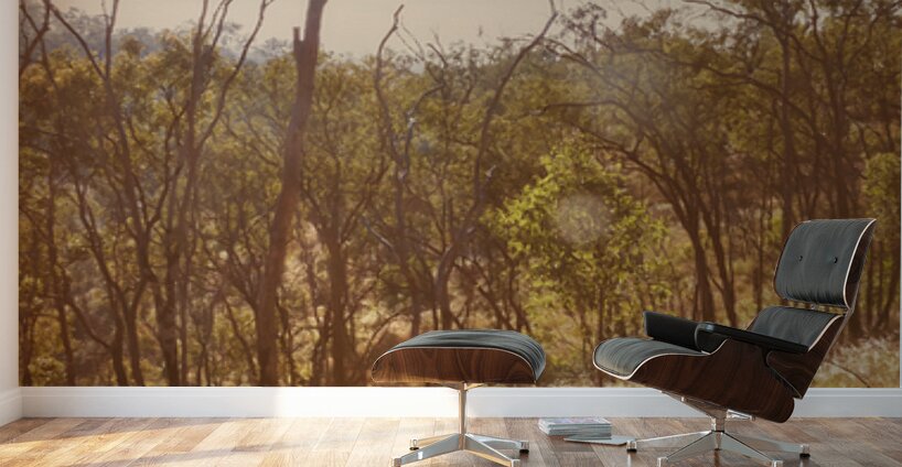 Misty Horizons Wall Murals