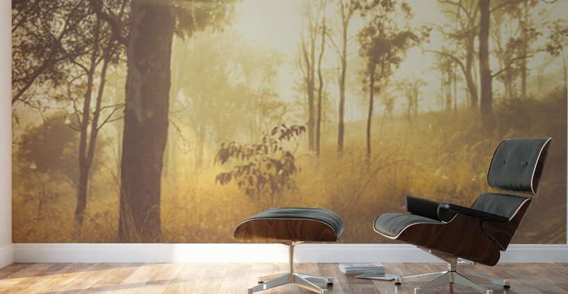 Dirt Road Dawn Wall Murals