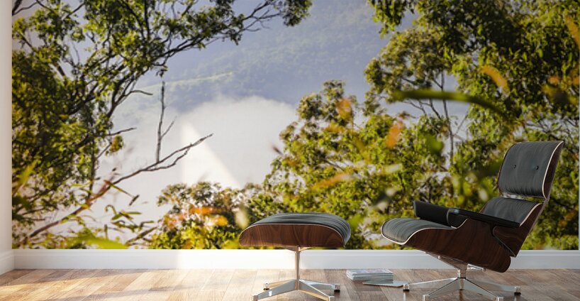 Glimpses Of Mt Perry Wall Murals