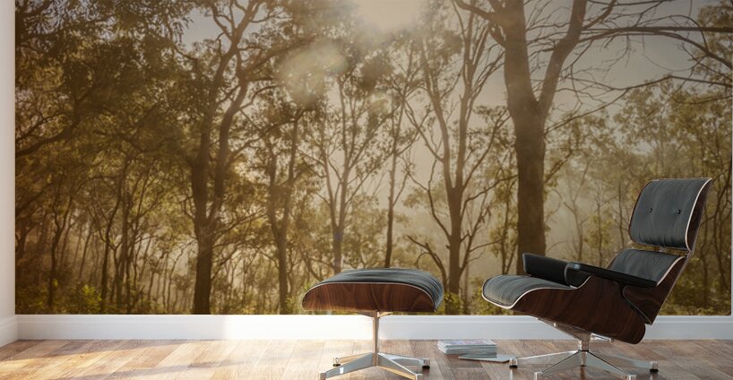 Sunflares And Foliage Wall Murals