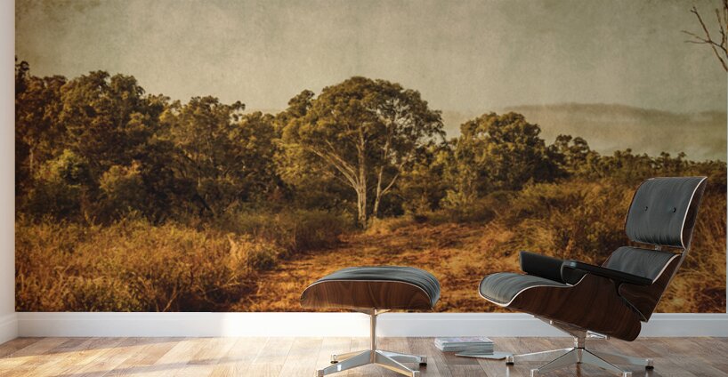 Wild Old Ways Wall Murals