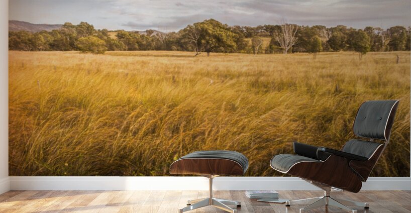 In The Outbacks Wall Murals