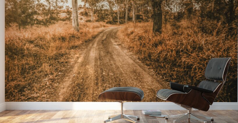 Bucolic Backroad Wall Murals