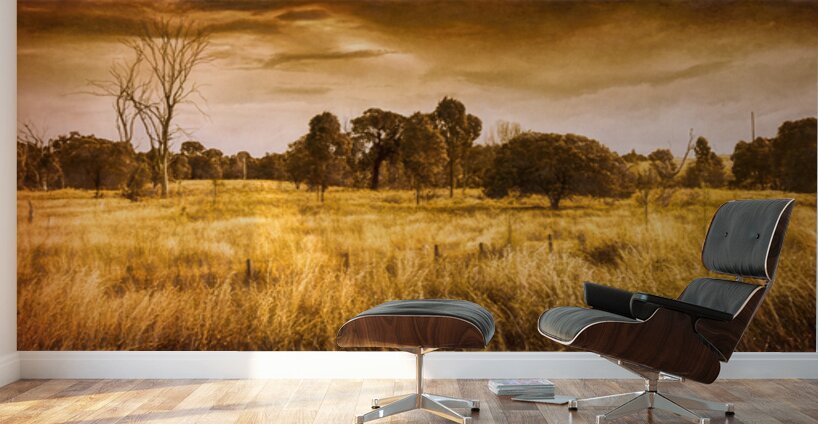 Weatherly Charm Wall Murals