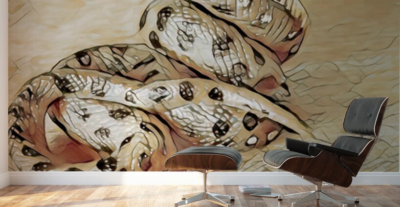 Desert Sun Serpent Wall Murals