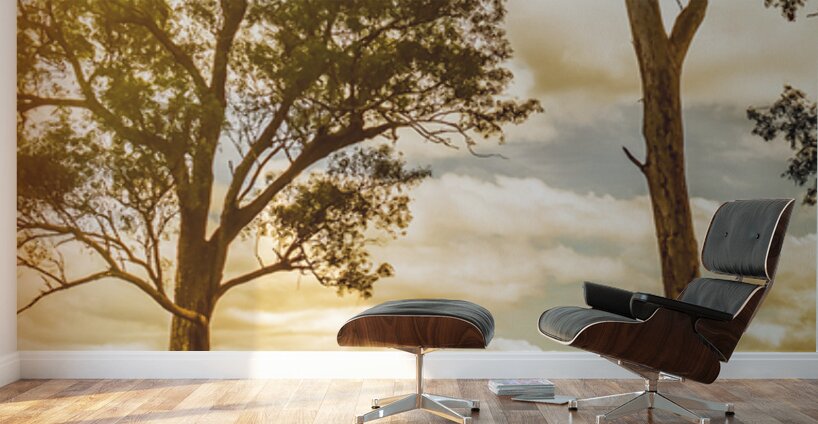 Outback Gold Wall Murals