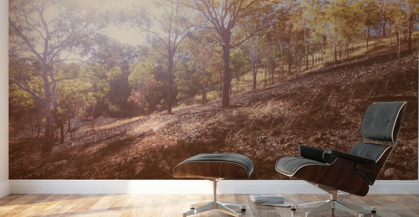 The Warmth Wall Murals