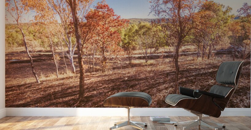 Road Outback Wall Murals