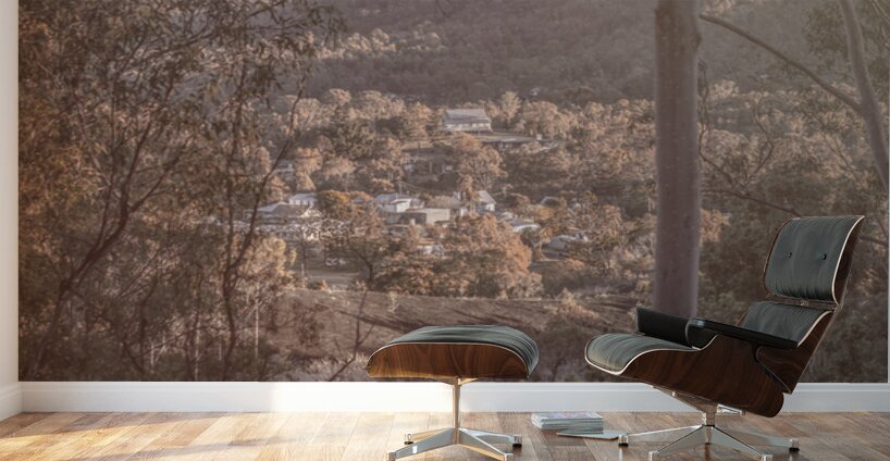 Cosy Country Town Wall Murals