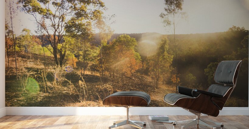 Flares And Fades Wall Murals