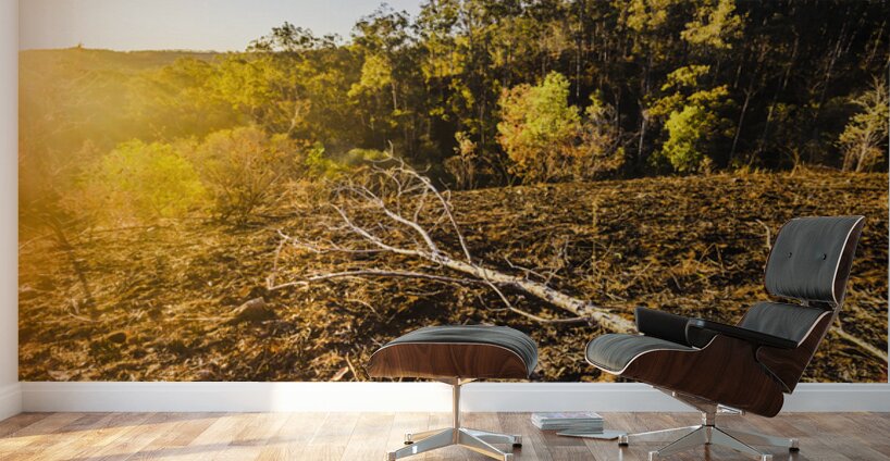 Awash In Sundown Wall Murals