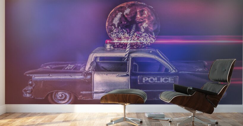 Doughnut Kings Wall Murals