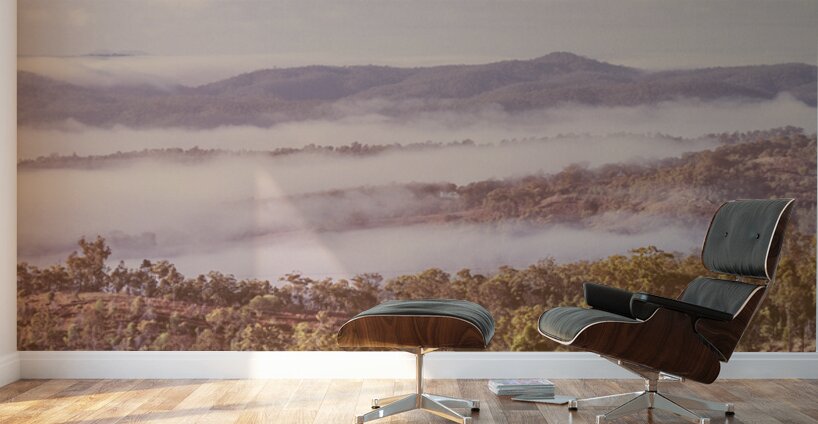 Wooded Fog Wall Murals