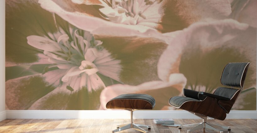 Geranium Wash Wall Murals