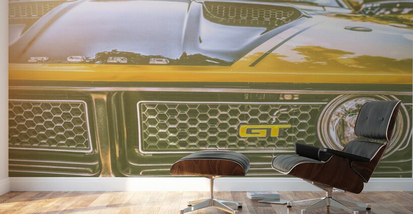 GT Muscle Wall Murals