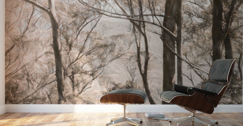 Calm Subtleties Wall Murals