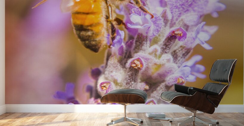 Busy Bee Wall Murals