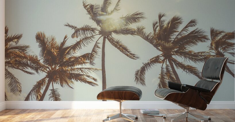 Palmy Summers Wall Murals