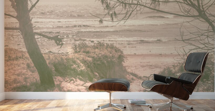 Dune Wash Wall Murals