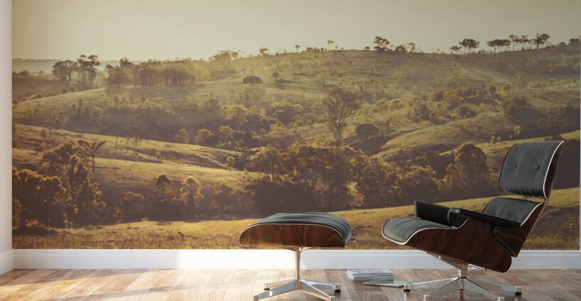 By Daylights Fade Wall Murals