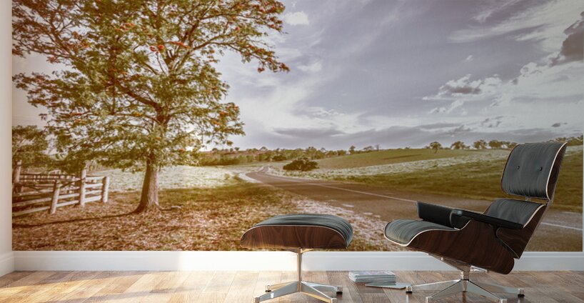 Acacia Avenue Wall Murals