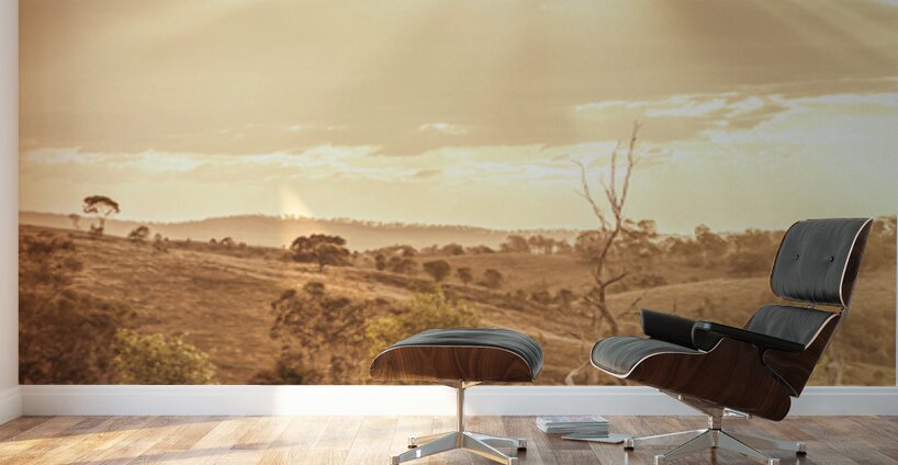 Mount Perry Gold Wall Murals