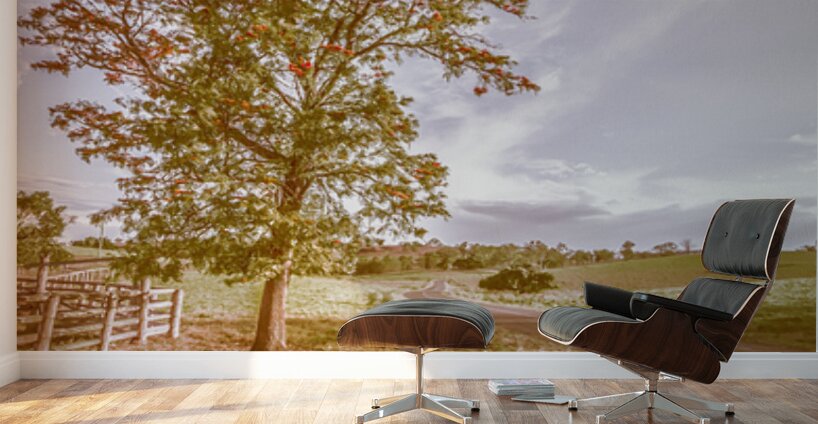 Golden Wattle Lane Wall Murals