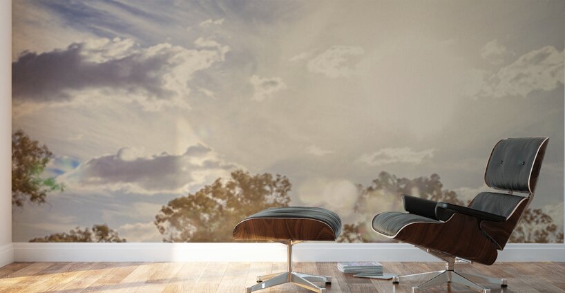 Bleached Country Vertices Wall Murals