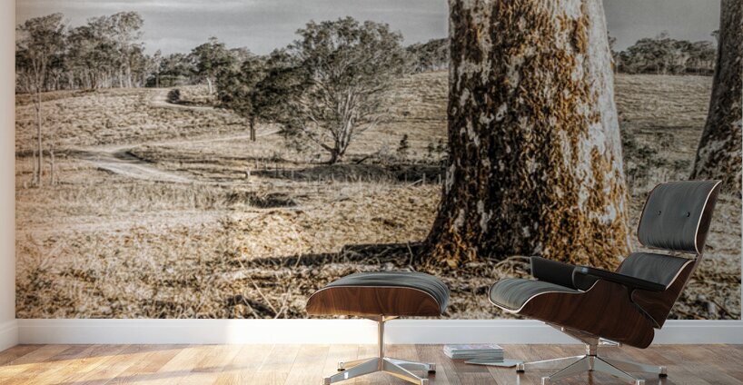 Country Wash Wall Murals