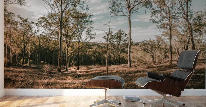 Beauty And Rusticity Wall Murals