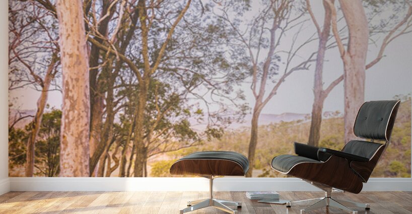 Elevated Country Outlook Wall Murals