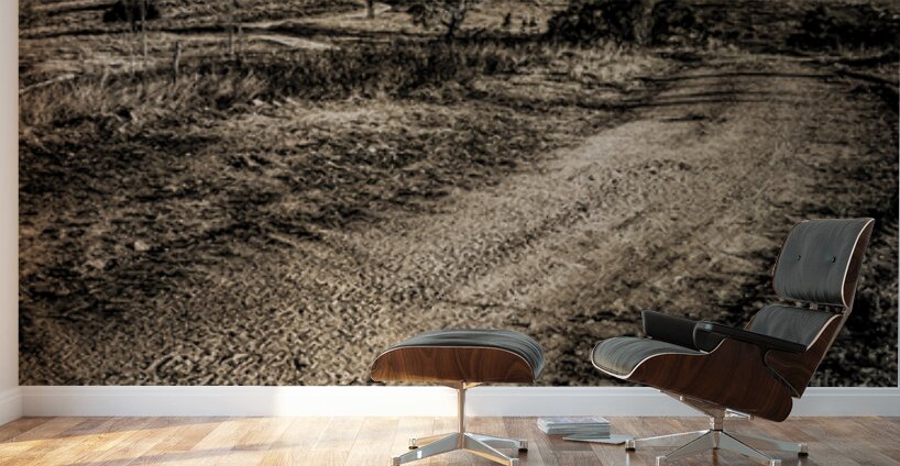 Backroads Billowing Wall Murals