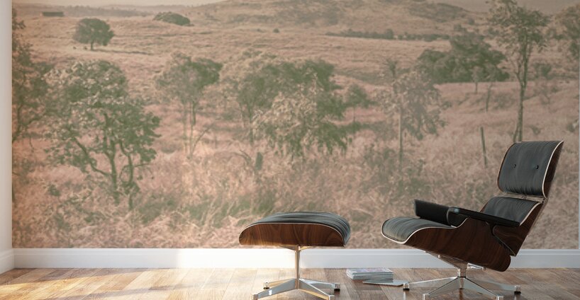 Backcountry Calm Wall Murals
