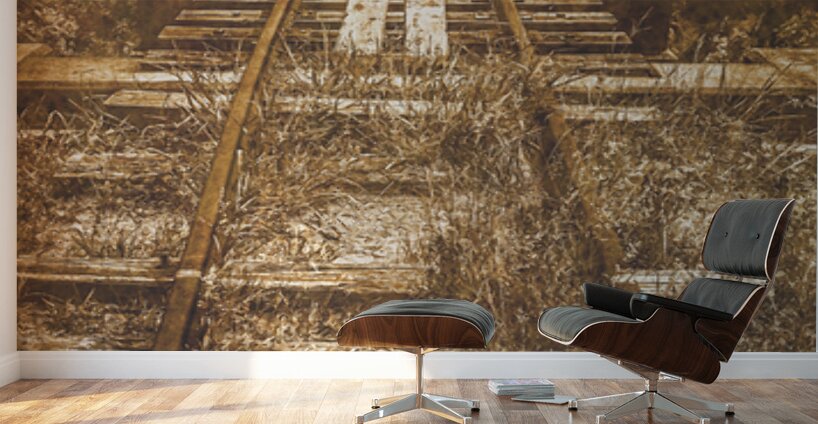 Rusty Rail Wall Murals