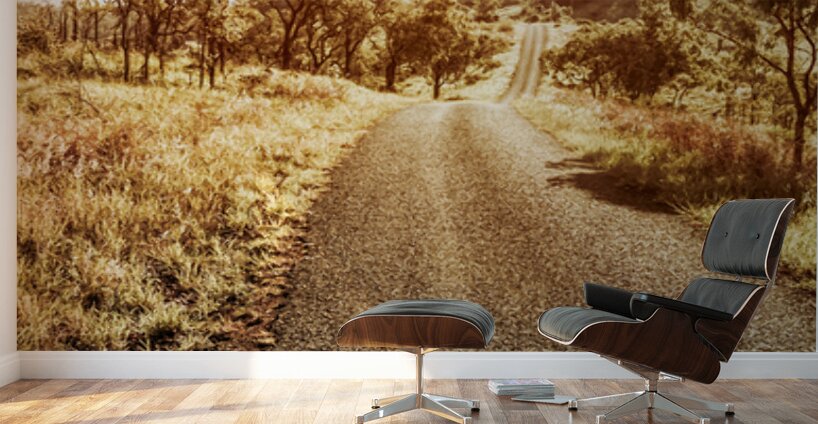 Sun Dipped Wall Murals