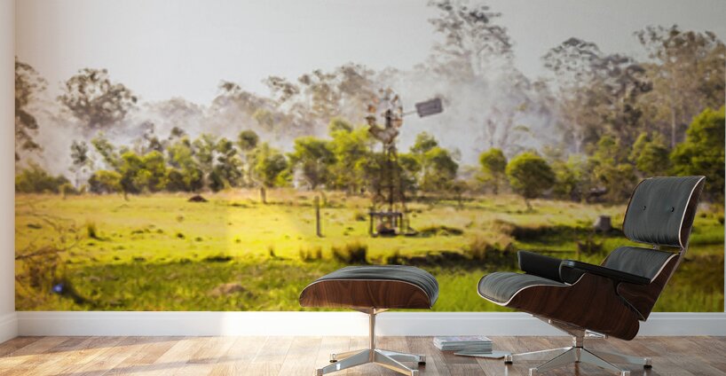 And Summer Dreaming. Wall Murals